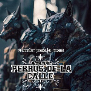 perro de la calle