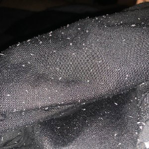 somethings in my room