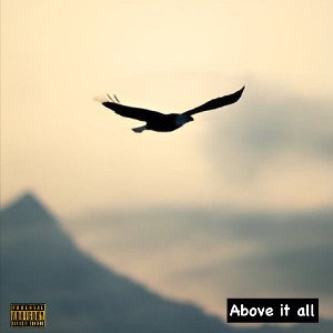 Above it all