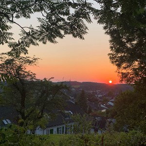 ROOB - Sunny Nights 