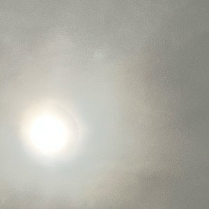 VENT-FLOW