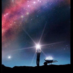 Reflection (evolution)