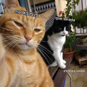 Batalla