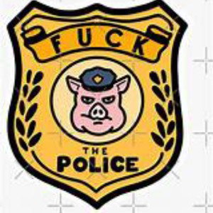 puta policia