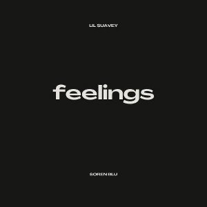 Feelings (Remix) Feat. Soren blu