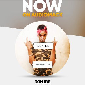 DON IBB_Fake Friends