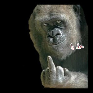 3aber_Motae3