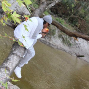 illestraighten(picture freestyle 2017)