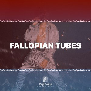 fallopian tubes