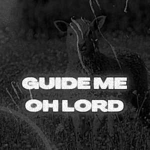 guide 