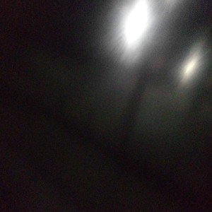 Trill tunze (23:07)
