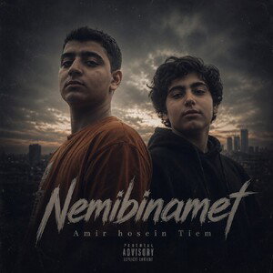 Nemibinamet