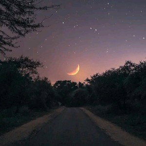 Dooby_rocky - fucken world 