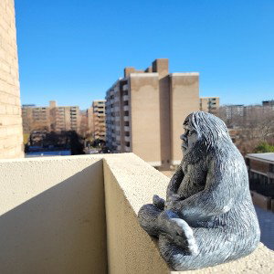 Sasquatch Zen