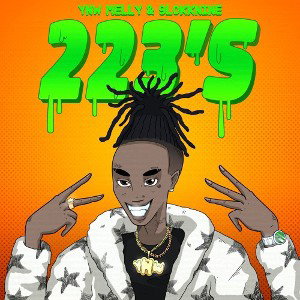223s cover
