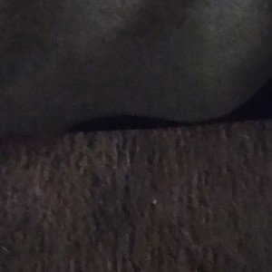 test 12021842