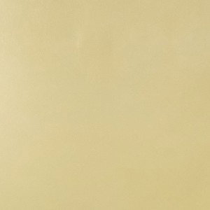 test 12041920