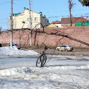 Новичок