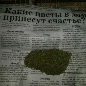 барыга