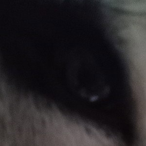 Eye on the prize 