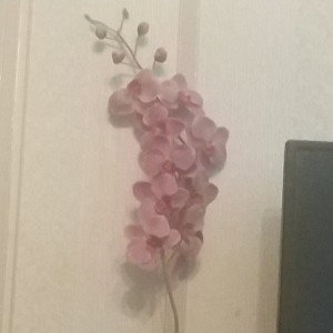 Влад & Арсений-вы ждали нас (скоро выйдет трек) в конце следующего сентября