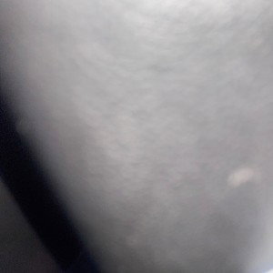 Rich Flex (17:54:13)