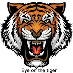 Eye on the tiger