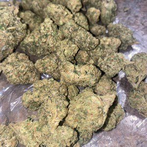 loud packs