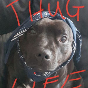 FRESH freestyle 