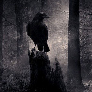 Ravens Around Me