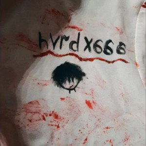  hvrdx - stupid bitch (prod. rubbish okmax) 