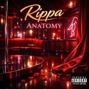 Anatomy