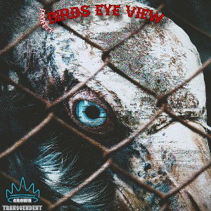 BIRDS EYE VIEW