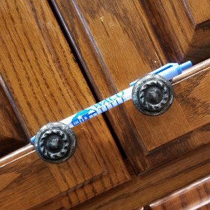 the pen