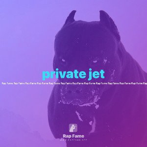 private jet
