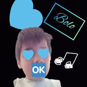 bolo