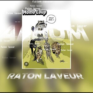 Raton laveur 