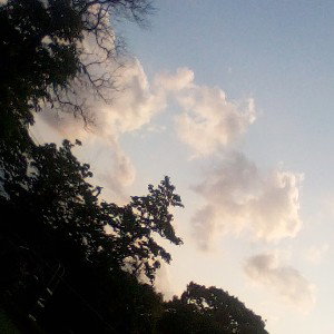 riptide by Vance Joy cover by me 