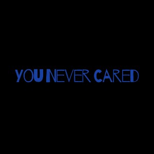  You Never Cared 