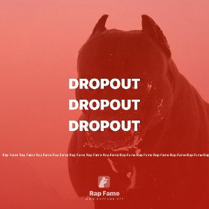 Dropout