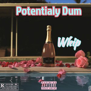 Potentialy Dum