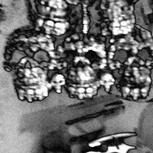🩸⚔️WTF⚔️🩸