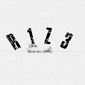R 1 Z 3