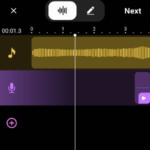TIK TOK BAN 