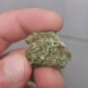 freee4