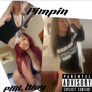 PML Way 2