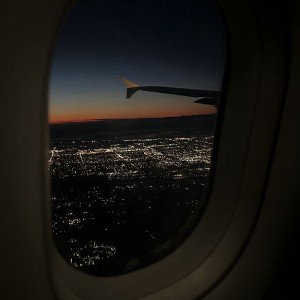 Taking flight 