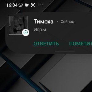saniya-граната