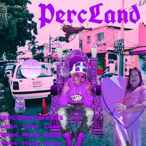 dönt give ä flip [percland deluxe]