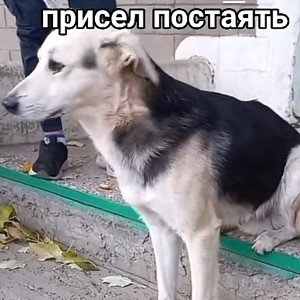 выходные вы когда ??
